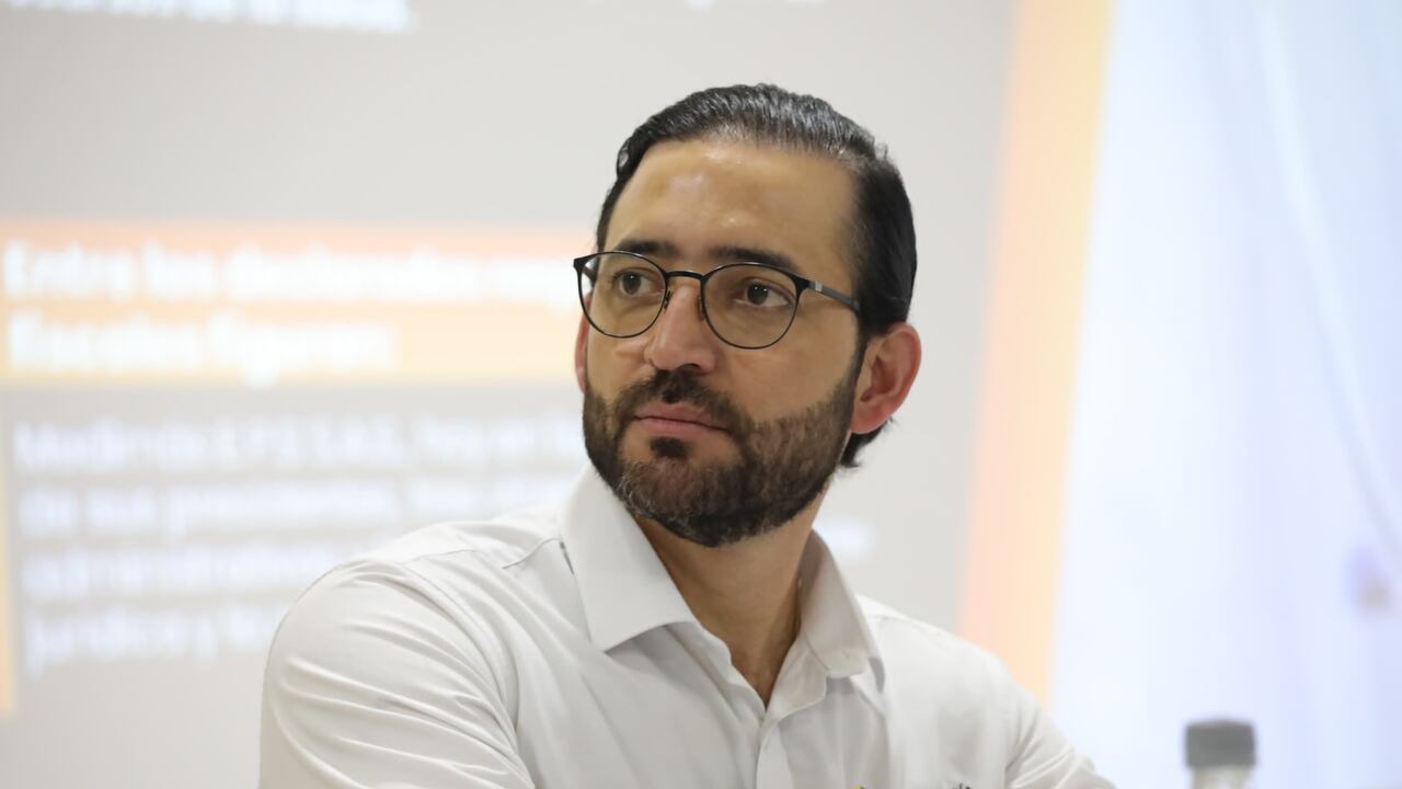 Vicecontralor Carlos Zuluaga Pardo.