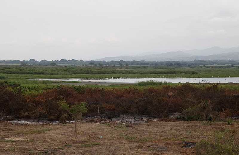 Laguna Sonso / Foto: Luis Ángel Murcia