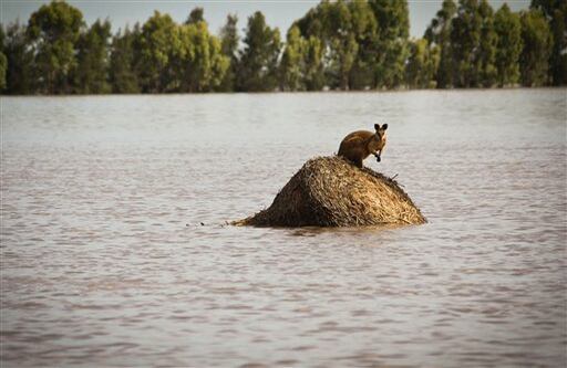 Dalby, Queensland / El noreste de Australia es una zona de fuertes tormentas e inundaciones durante el verano austral, pero la magnitud de los daños por las lluvias recientes es muy inusual, dijo la primera ministra de Queensland, Anna Bligh.