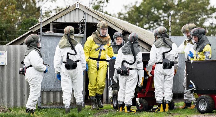 VISONES COVID 19 DW - NO USAR