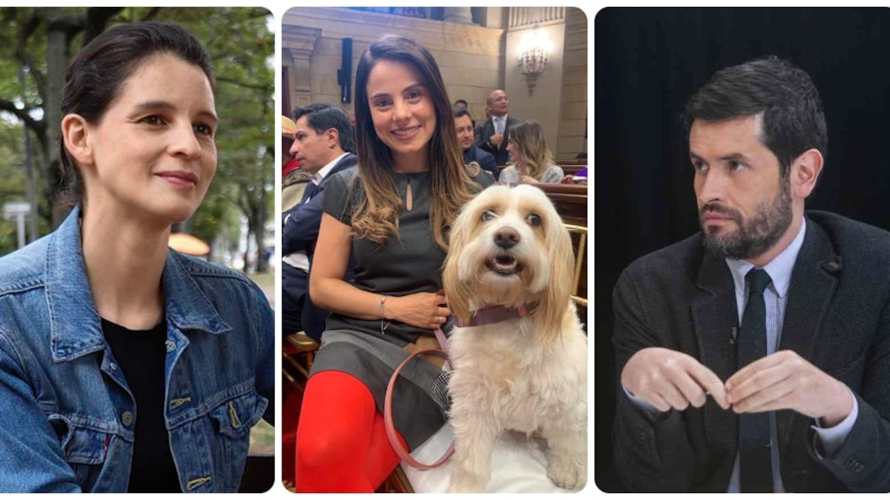Las senadoras Andrea Padilla, Esmeralda Hernández; el representante Juan Carlos Losada. Líderes de la bancada animalista.