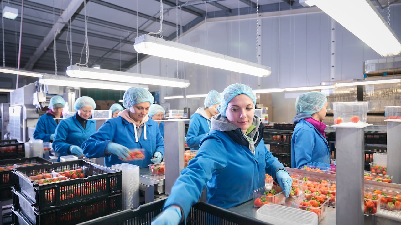 Esta es la marca de alimentos que entró en quiebra en EE. UU.