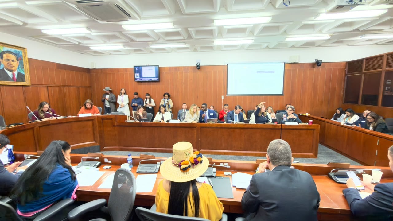 Debate en Comisión VII de Senado, con la ministra de Trabajo Natalia López