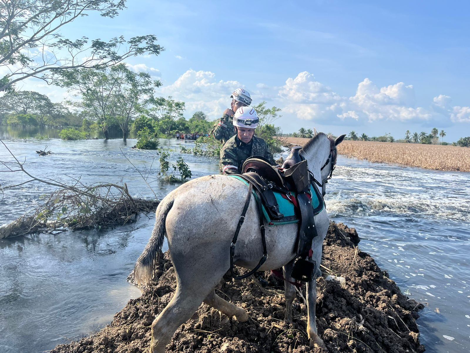 Dos hermanos, arrastrados por una creciente súbita cuando intentaron cruzar un arroyo a caballo en Córdoba.