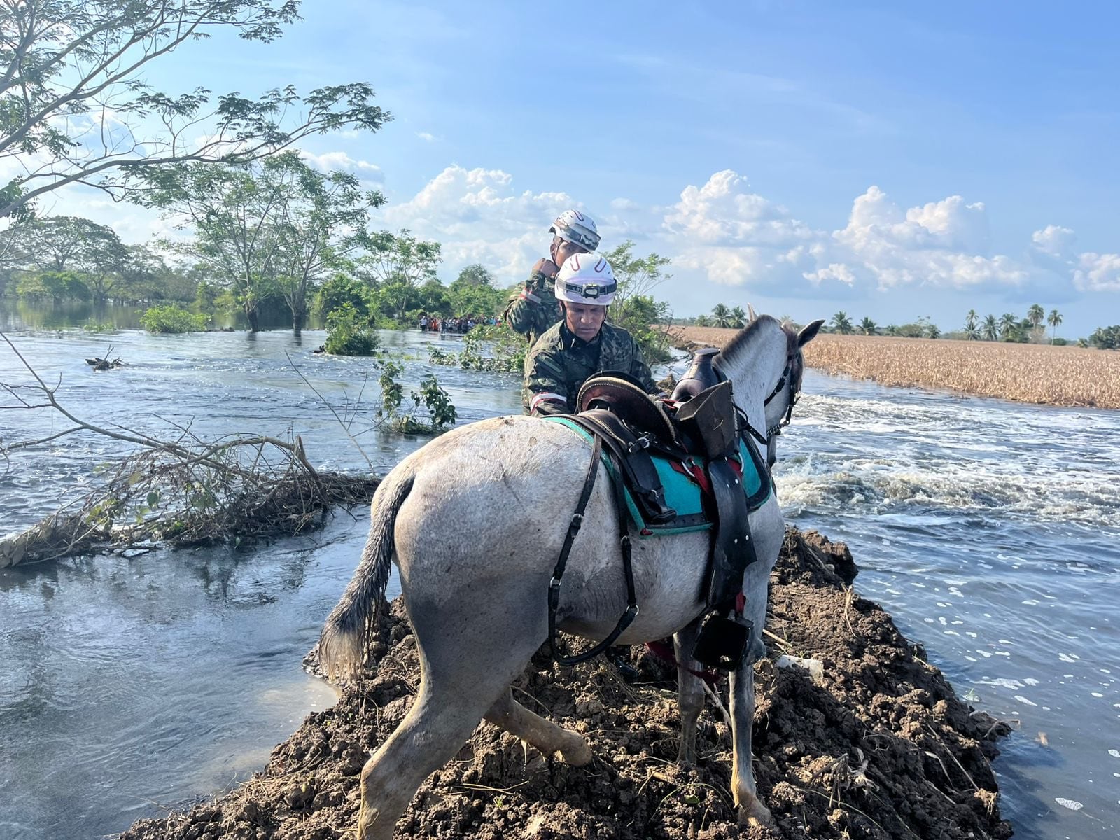 Dos hermanos, arrastrados por una creciente súbita cuando intentaron cruzar un arroyo a caballo en Córdoba.