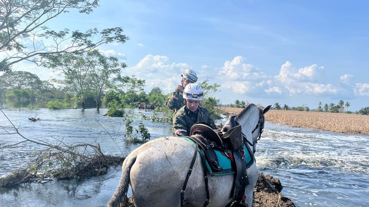 Dos hermanos, arrastrados por una creciente súbita cuando intentaron cruzar un arroyo a caballo en Córdoba.