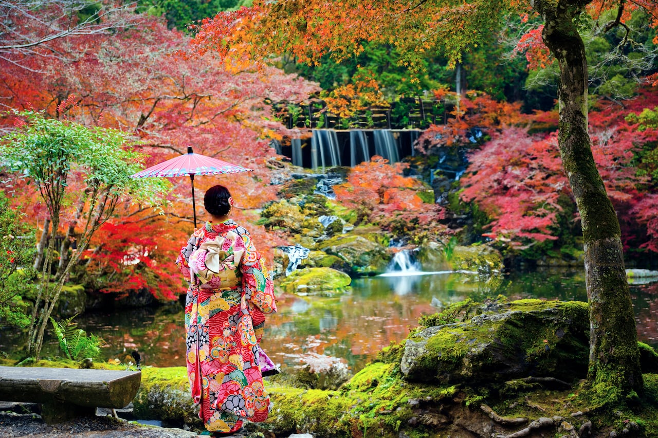 ¿Qué se necesita para conocer Japón?