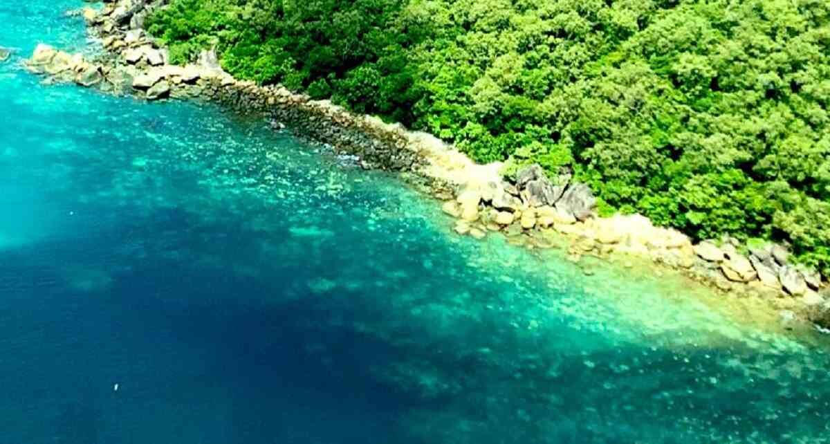 La Gran Barrera de Coral se ha enfrentado a blanqueamientos como consecuencia del alza en la temperatura del mar. 