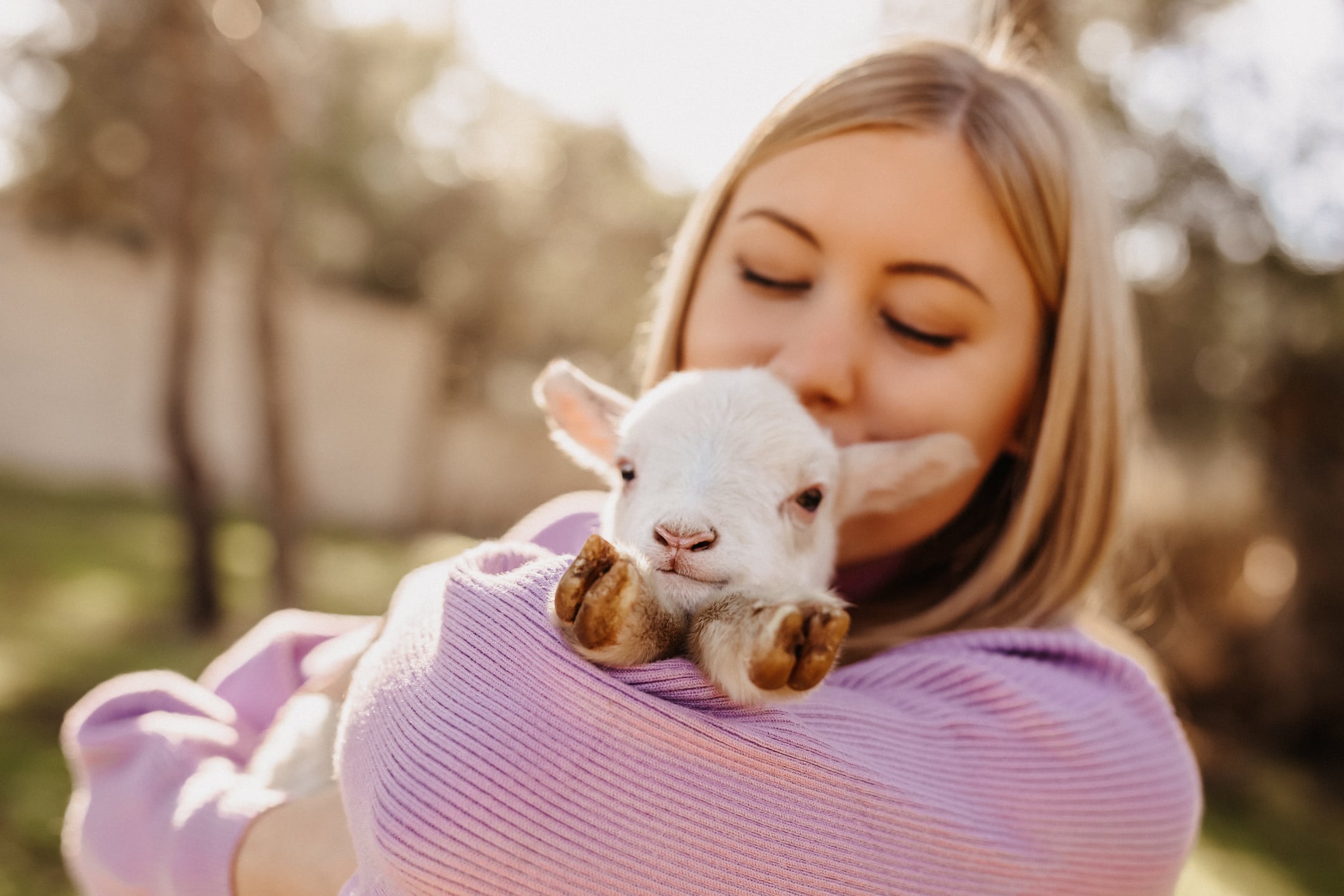 La ternura no es solo una respuesta emocional, sino también un fenómeno cultural que conecta a las personas globalmente. Desde personajes populares como Hello Kitty hasta los adorables cachorros, la estética de lo tierno despierta en los humanos sentimientos profundos de cuidado y empatía.