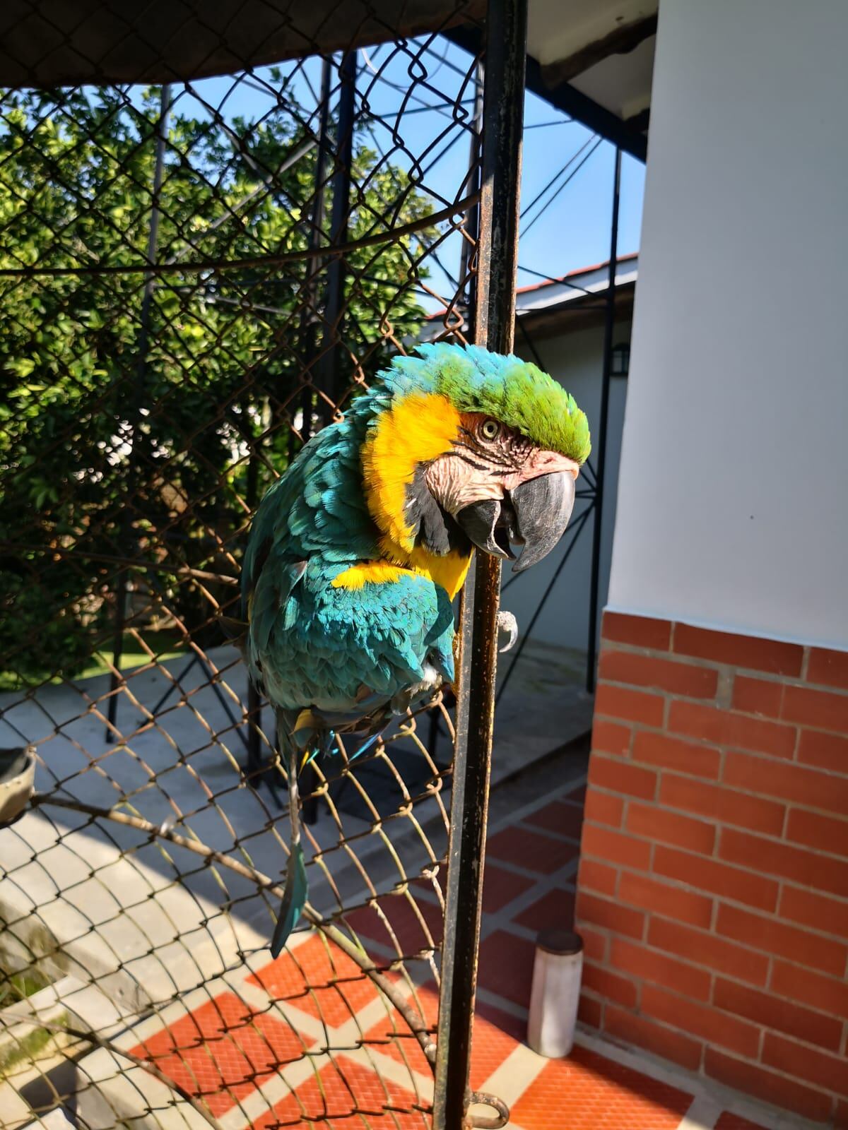 Estaban en viviendas de los municipios de Palestina y Neira, Caldas