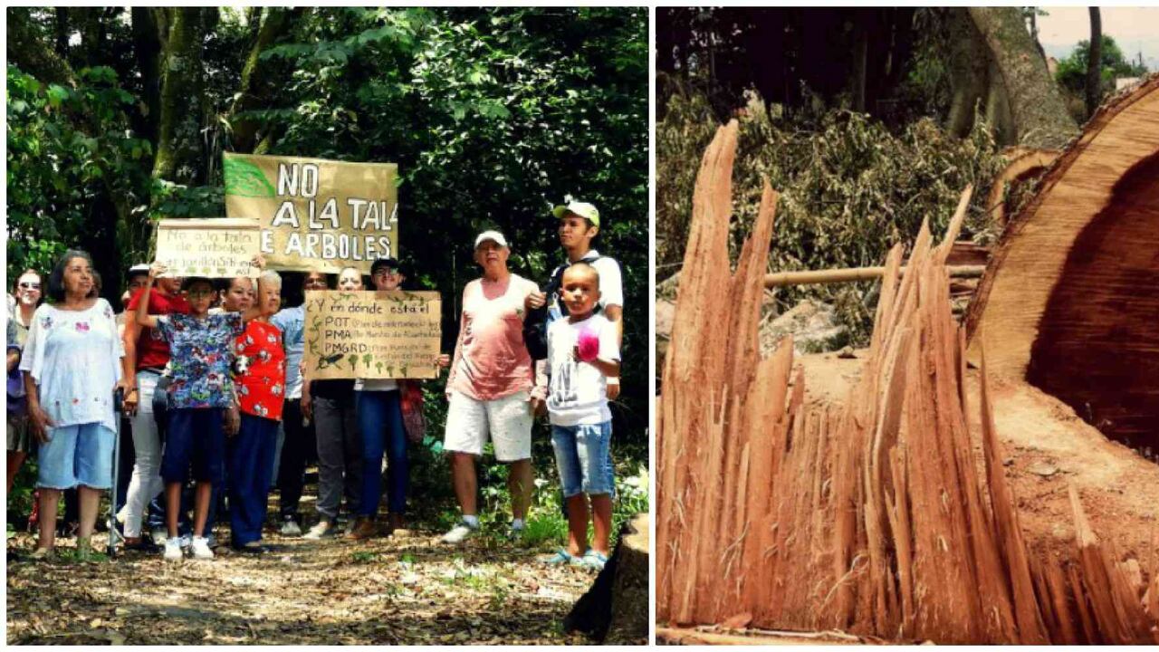 Ambientalistas y comunidad protestan por tala de bosque natural en Cartago, Valle