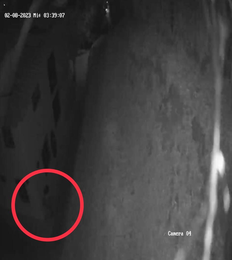 Las imágenes de la cámara de seguridad muestran a un hombre caminando por fuera de la casa en la madrugada.