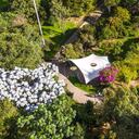 El requisito de pico y cédula no aplicará para el ingreso de visitantes al Jardín Botánico de Bogotá. Foto: Archivo Jardín Botánico de Bogotá