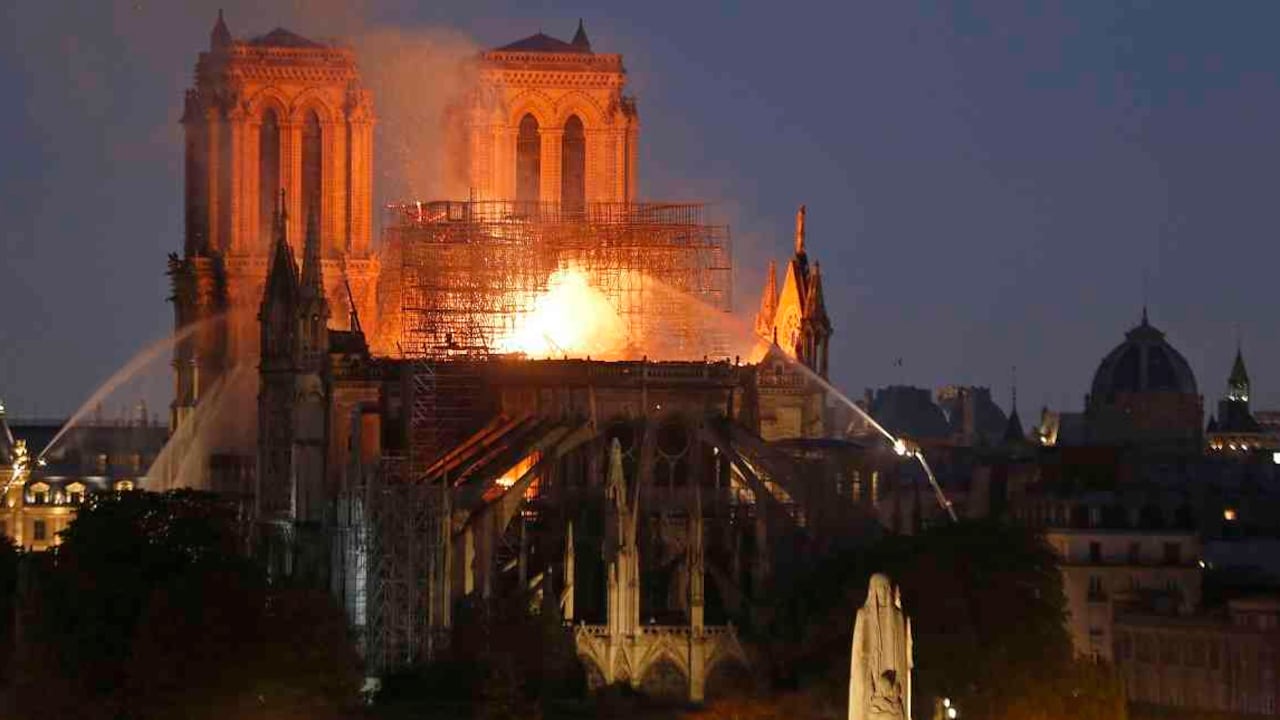 En las azoteas de Notre Dame se encontraban colmenas de abejas. Hacían parte de una política de conservación de la especie. Foto: Getty Images