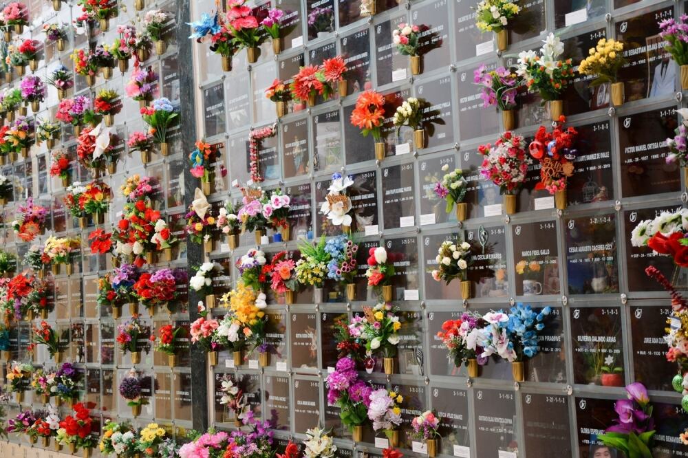 Parque cementerio Los Olivos