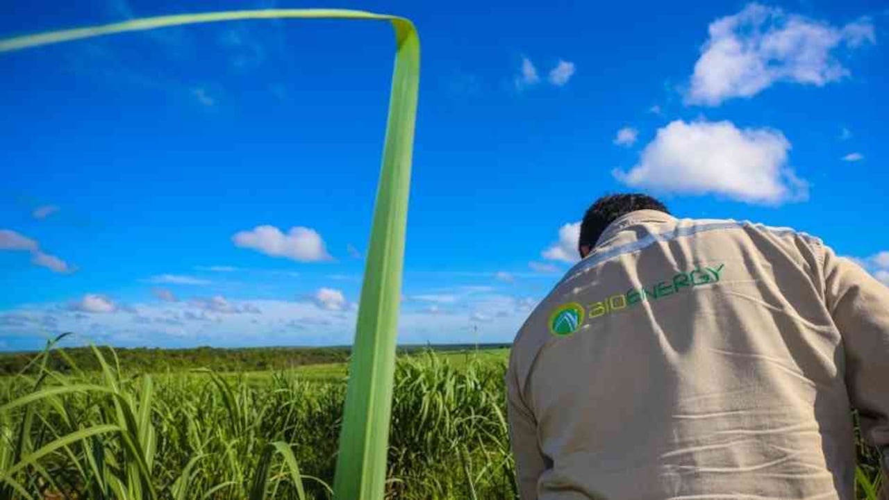 Bioenergy, filial de Ecopetrol