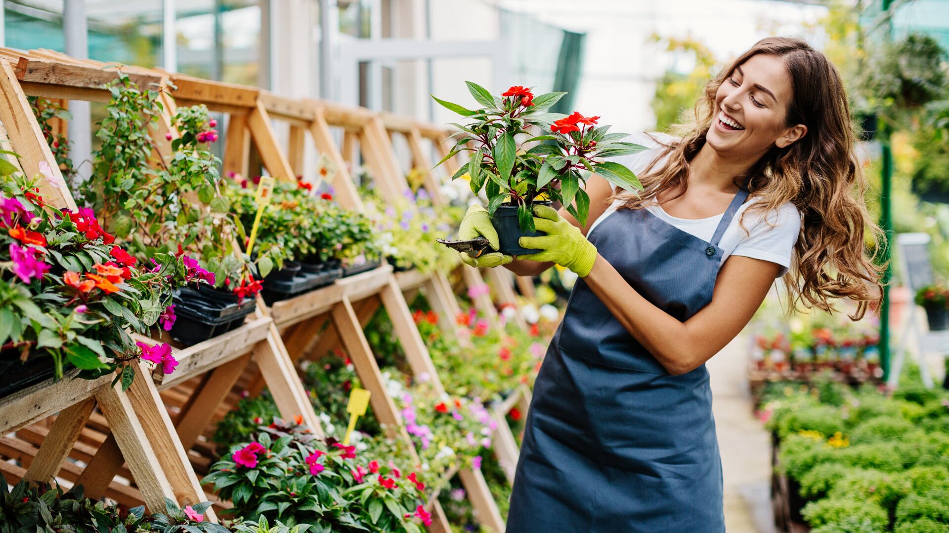 Con la reactivación económica en marcha, el trabajo se ha orientado en asesorar a las empresas a encontrar nuevos mercados y visualizar oportunidades.