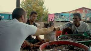 Mauro Salazar acompañó a un grupo de pescadores ambientalistas que se propuso sembrar 20.000 plántulas de mangle en la Ciénaga Grande.