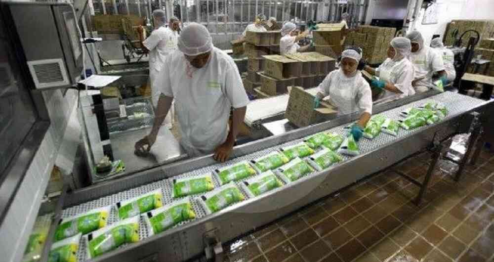 Colanta se ubicó en el primer lugar de las marcas preferidas por los colombianos durante la pandemia.