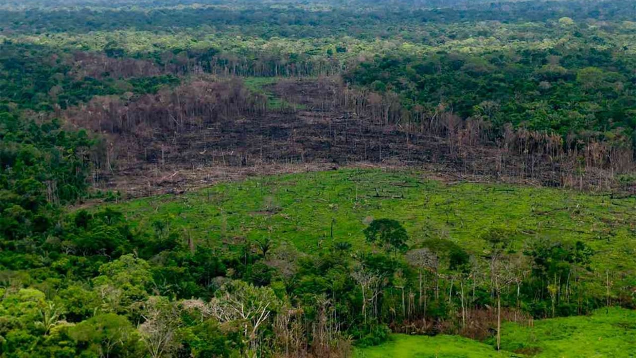 La deforestación es una de las principales amenazas que enfrenta la Amazonia colombiana. Foto: archivo/Semana.