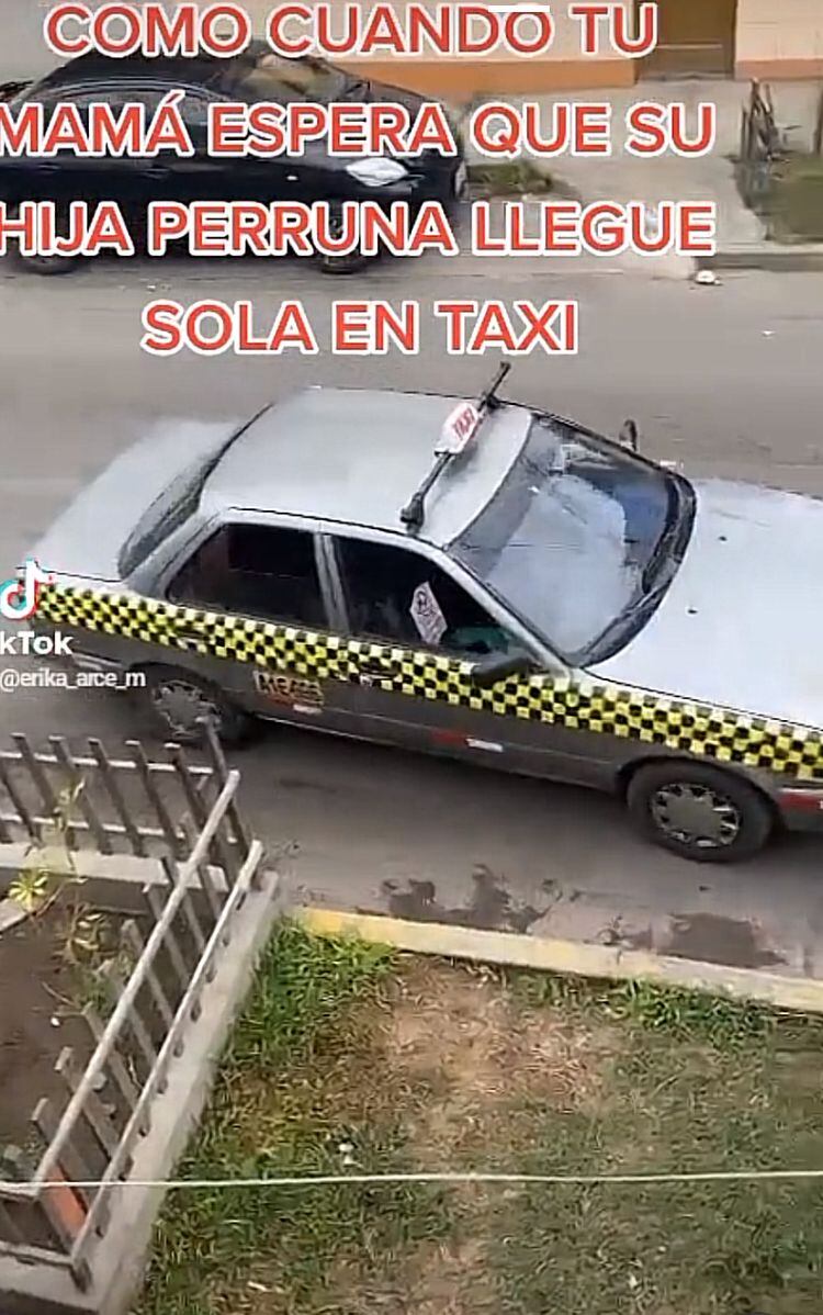 Vaca llega en taxi