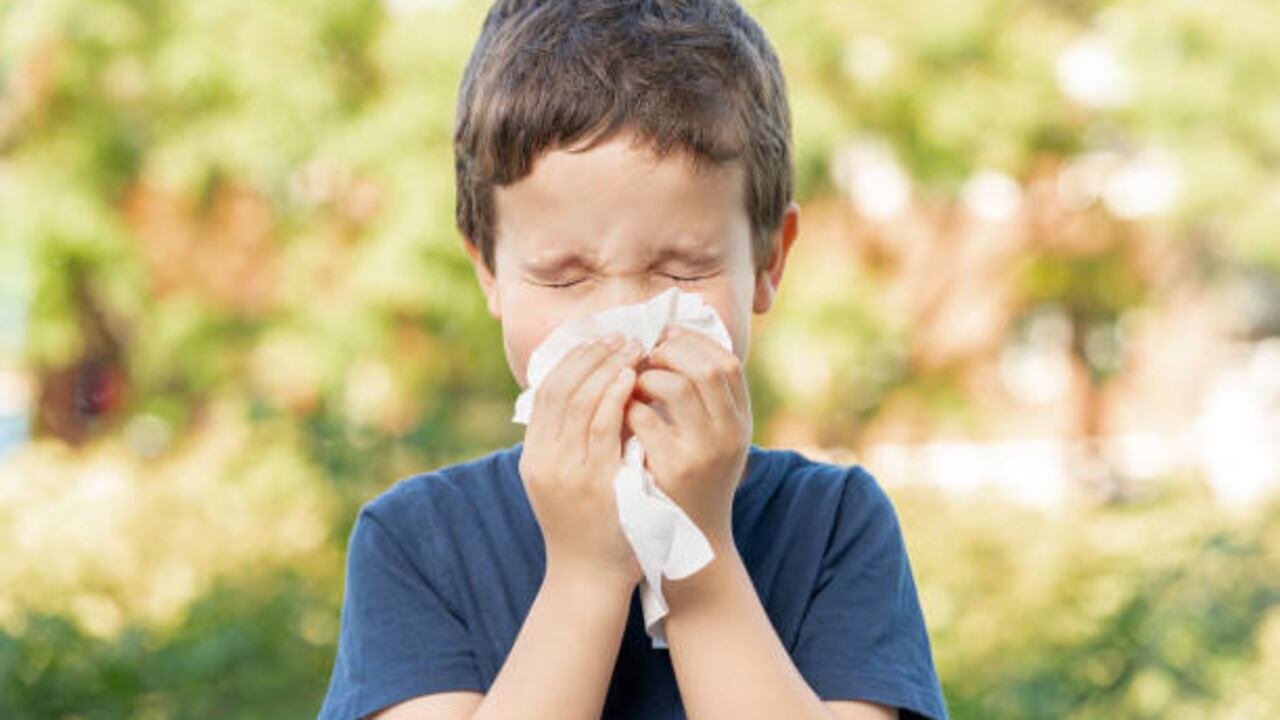 Las alergias en muchas oportunidades se registran por cambios de clima y de temperatura.