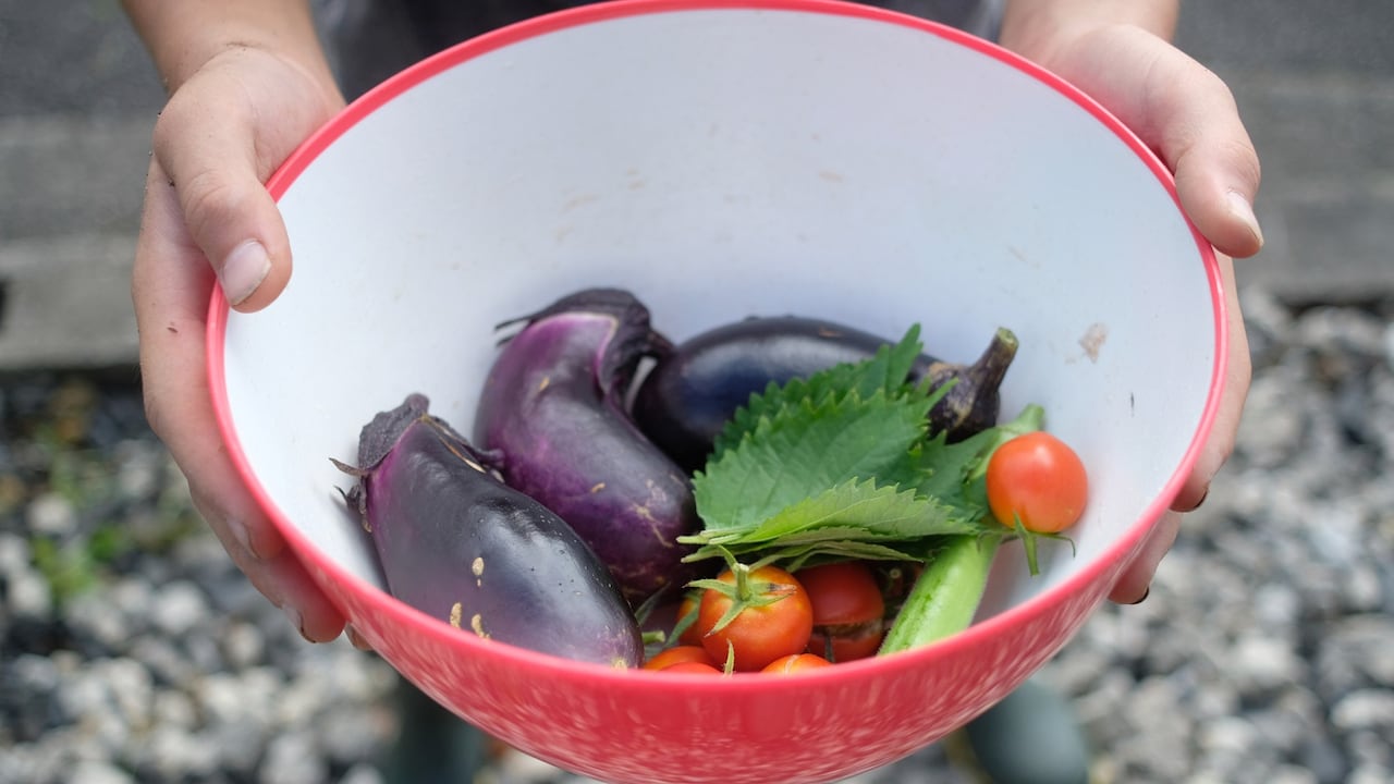 La berenjena aporta fibra y una variedad de nutrientes.