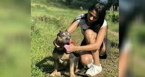 Perro polémica Easyfly