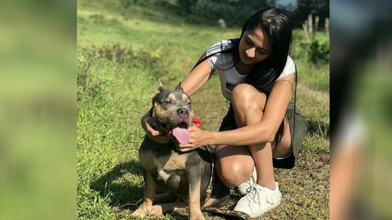 Pasajera de un vuelo de Easyfly se vio obligada a llevar en bodega a Homero, su perro, y llegó muerto