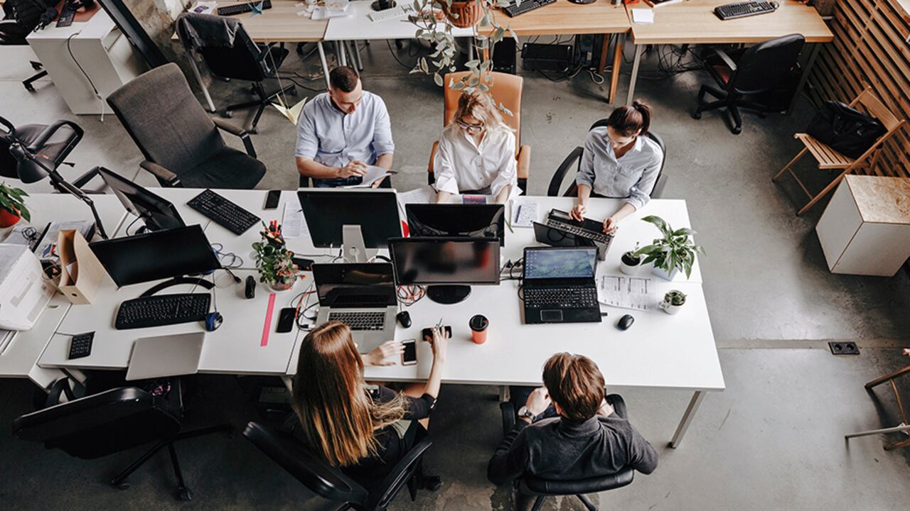 Los perfiles son variados