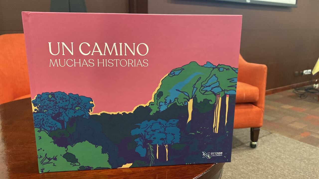 Libro Un camino, muchas historias