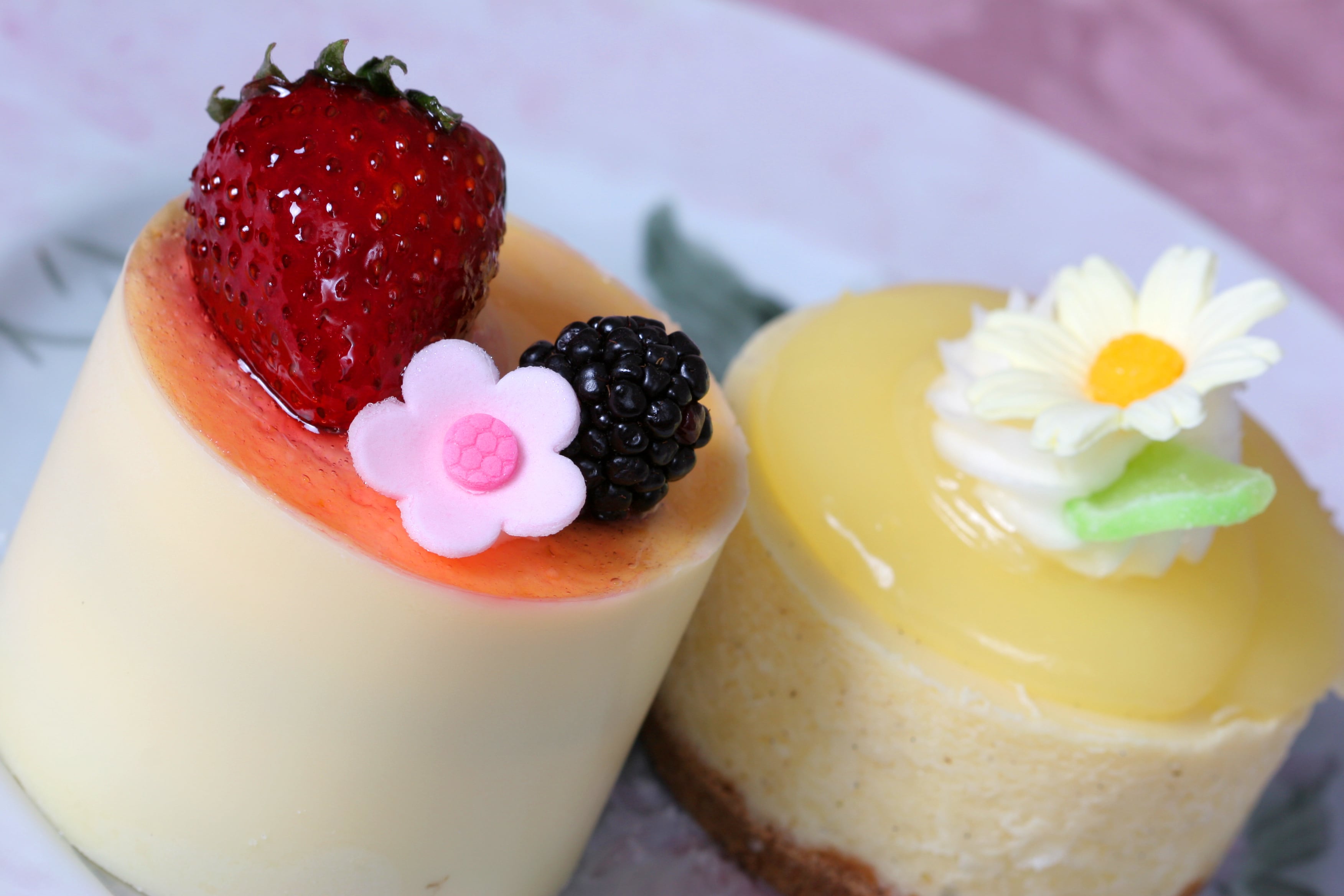 Aprenda los secretos detrás del Cheesecake de maracuyá en la nueva entrega de "El arte de los postres en la cocina".