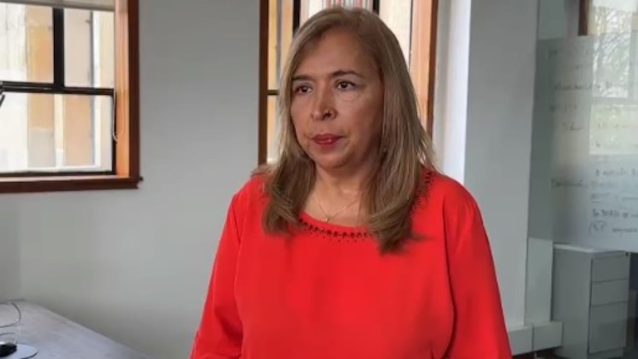 Cecilia Rico había sido la directora de ingresos de la Dian.