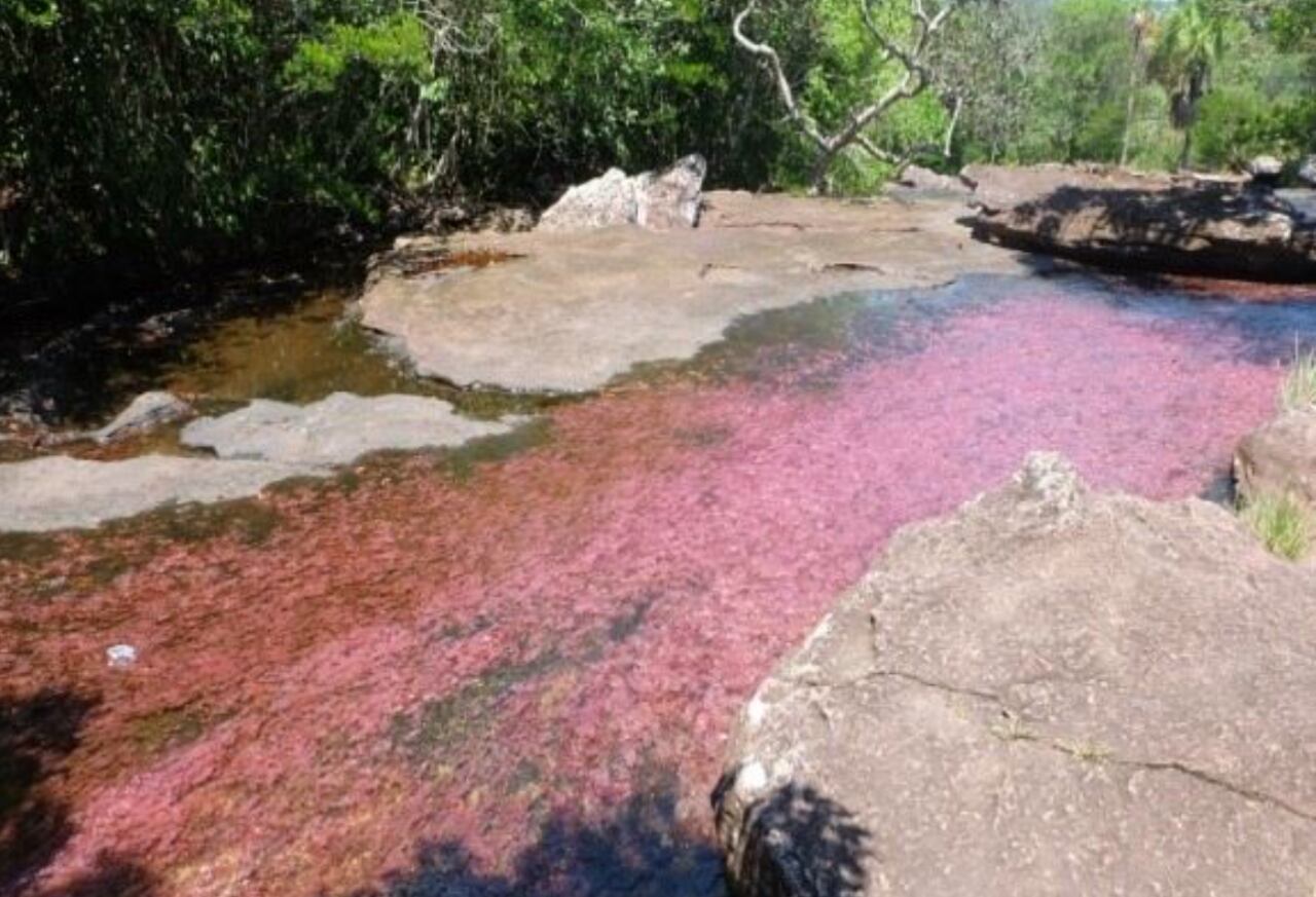 Caño sabana