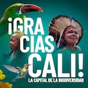 Cerramos dos semanas de ensueño gracias a ustedes, los caleños. Esta COP16 nos recordó lo que somos y nos permitió, definitivamente, pasar la página.