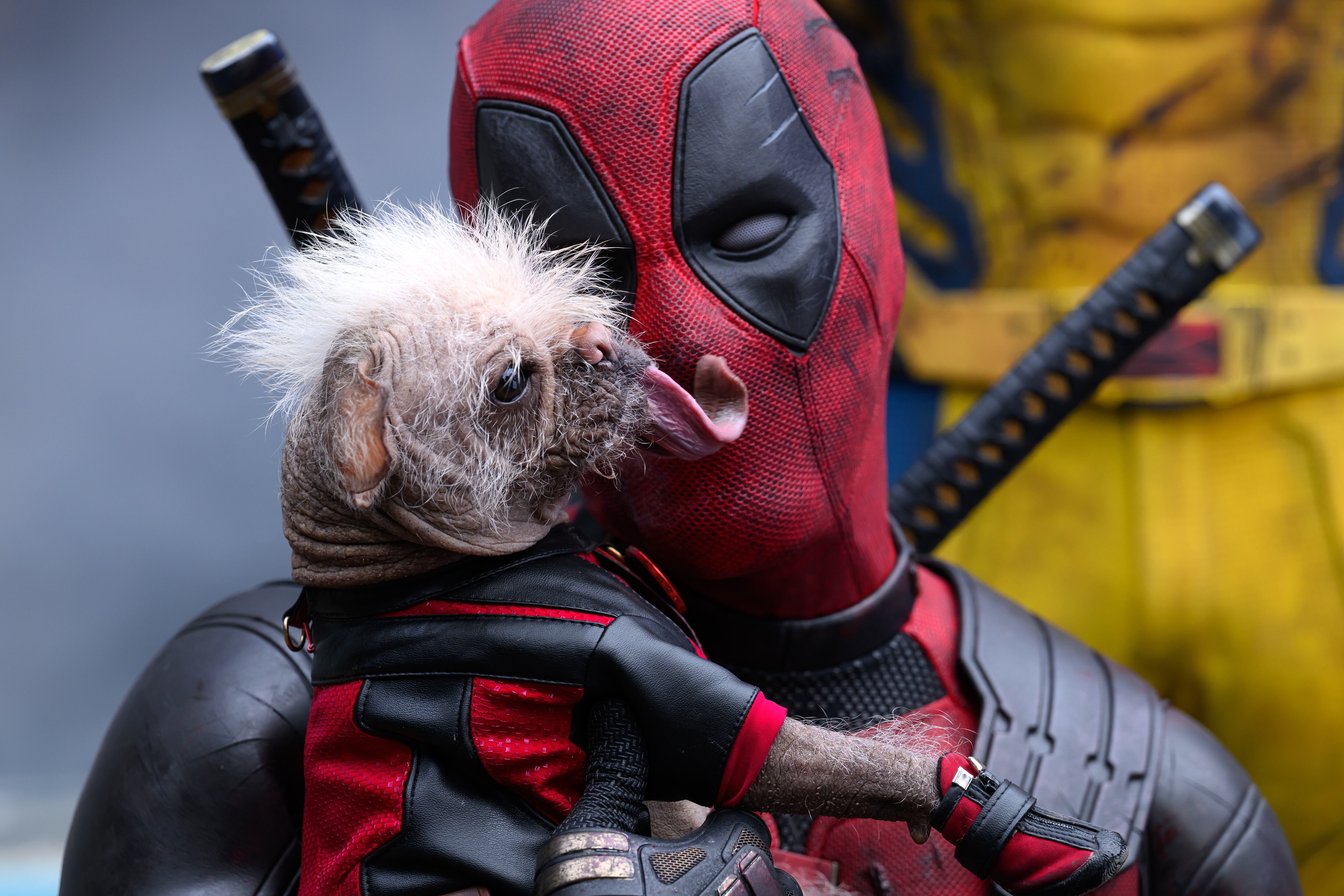 Dogpool y Ryan Reynolds como Deadpool/Wade Wilson.
