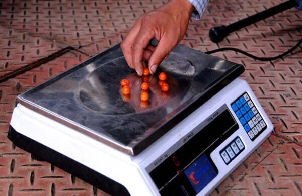 Media docena de tomate Cherry pesa cero gramos, como señala la báscula.