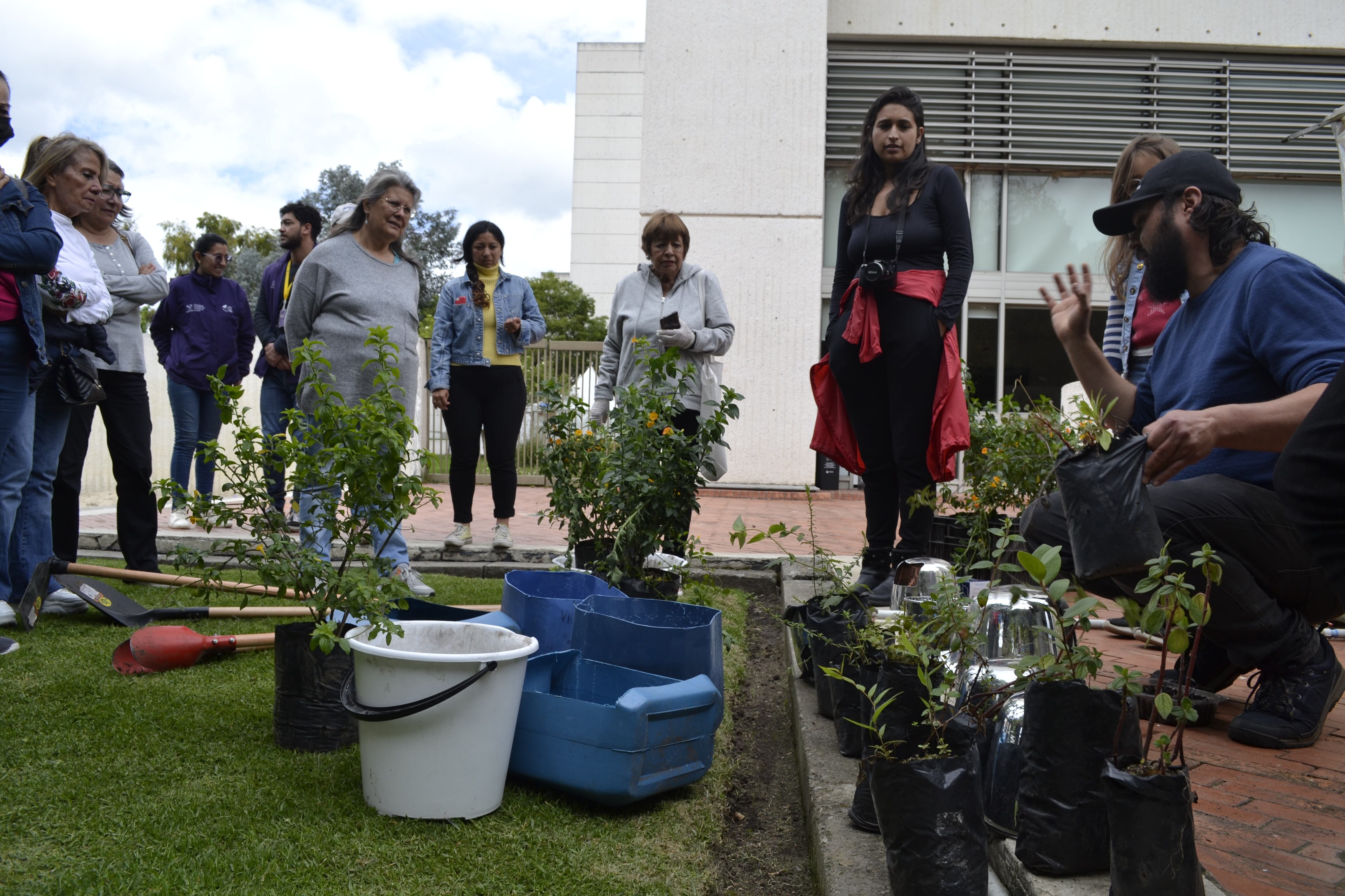 Siembra jardín de plantas nativas