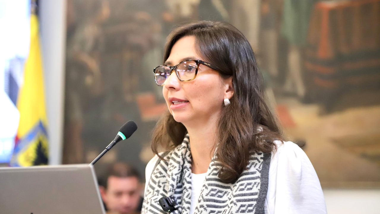 Secretaria de Hacienda, Ana María Cadena