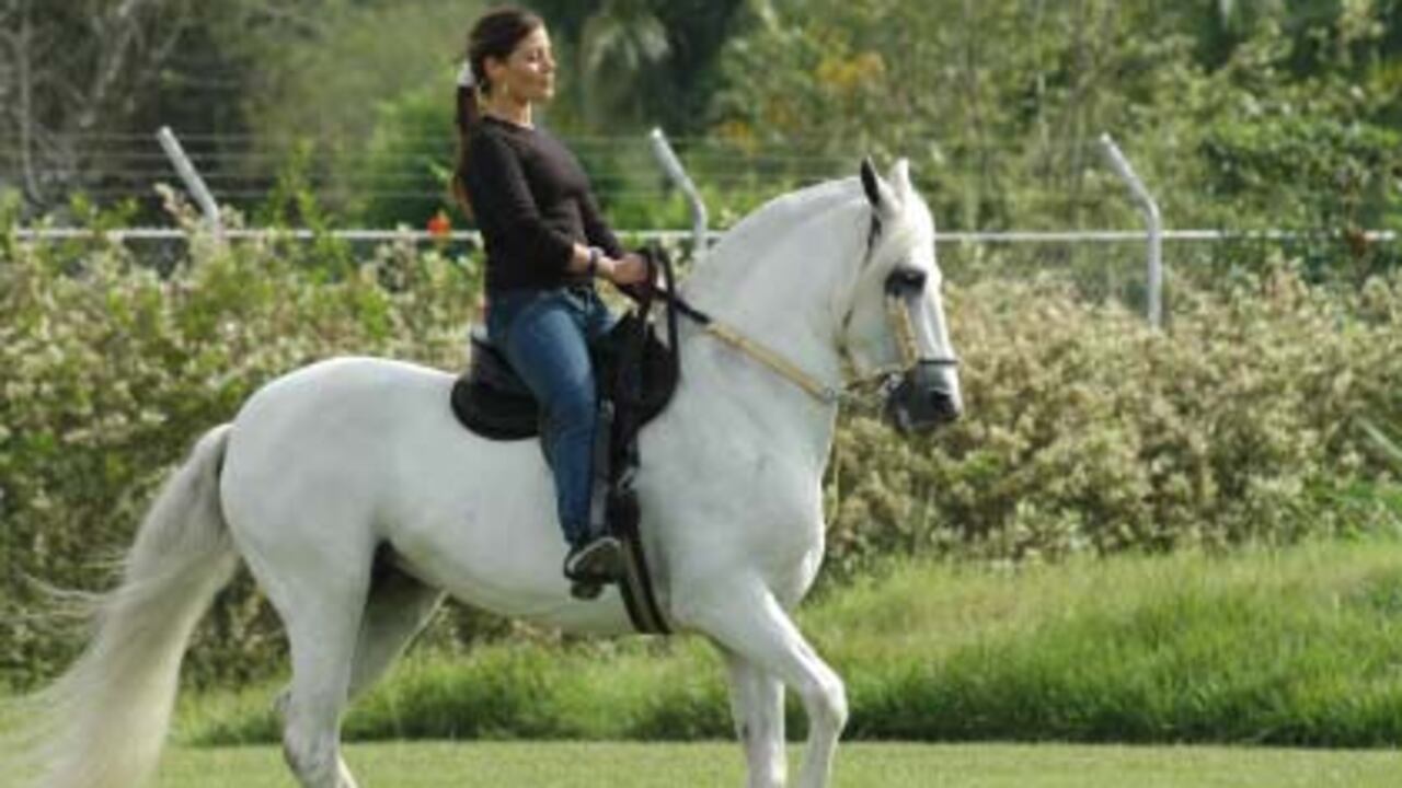 El entrenamiento empezó en un criadero cerca de Jamundí, donde Sara aprendió a dominar a Dante, con el que luego dio la vuelta al ruedo en la plaza de Cañaveralejo