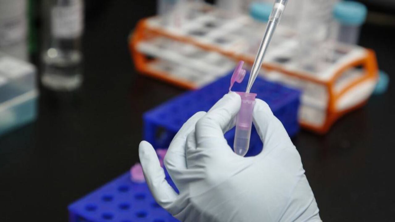 El mundo superó los 10 millones de casos de coronavirus