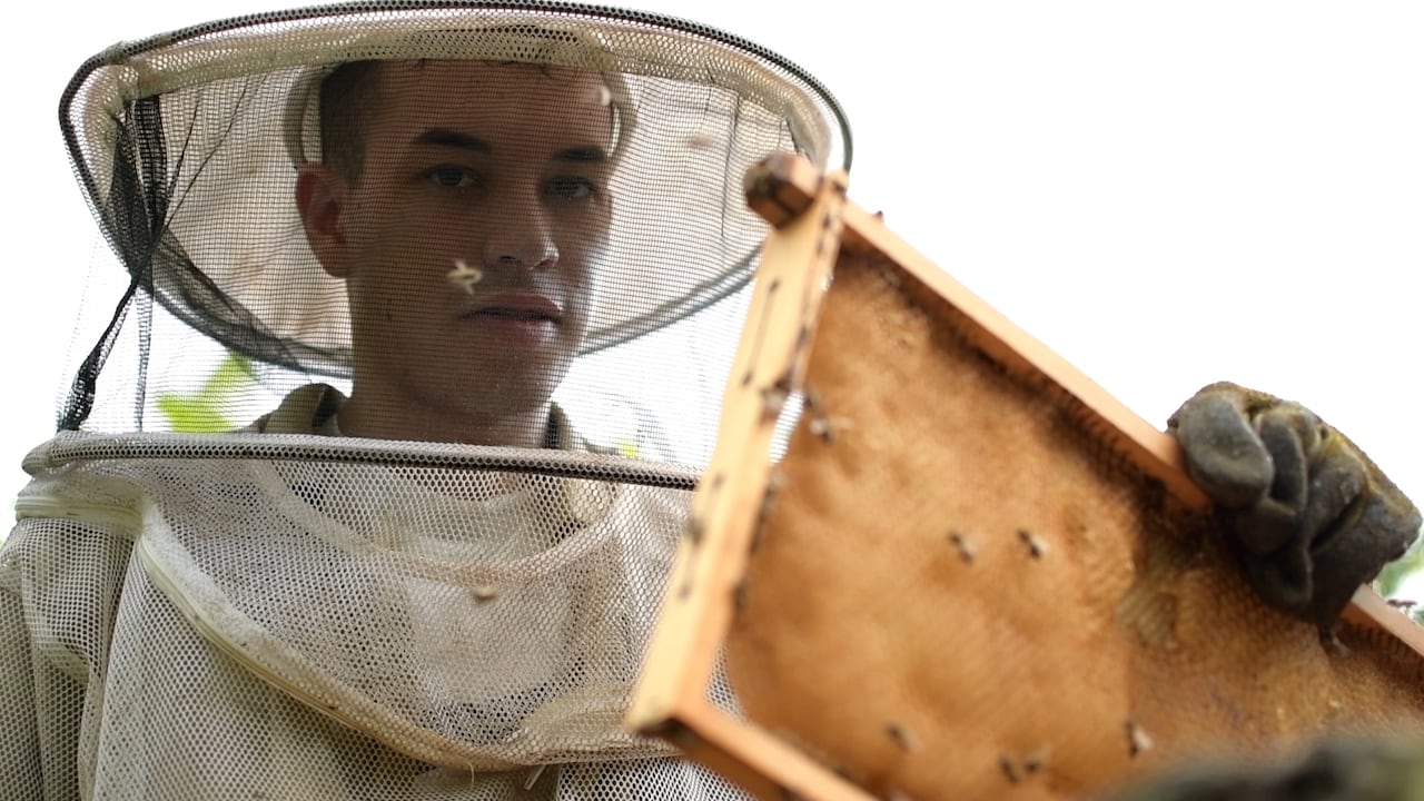 Juan David Gil, Excelsa All Natural (miel), del programa Microempresarios Rurales de Educación para la Competitividad – Corporación para el Desarrollo de Caldas.