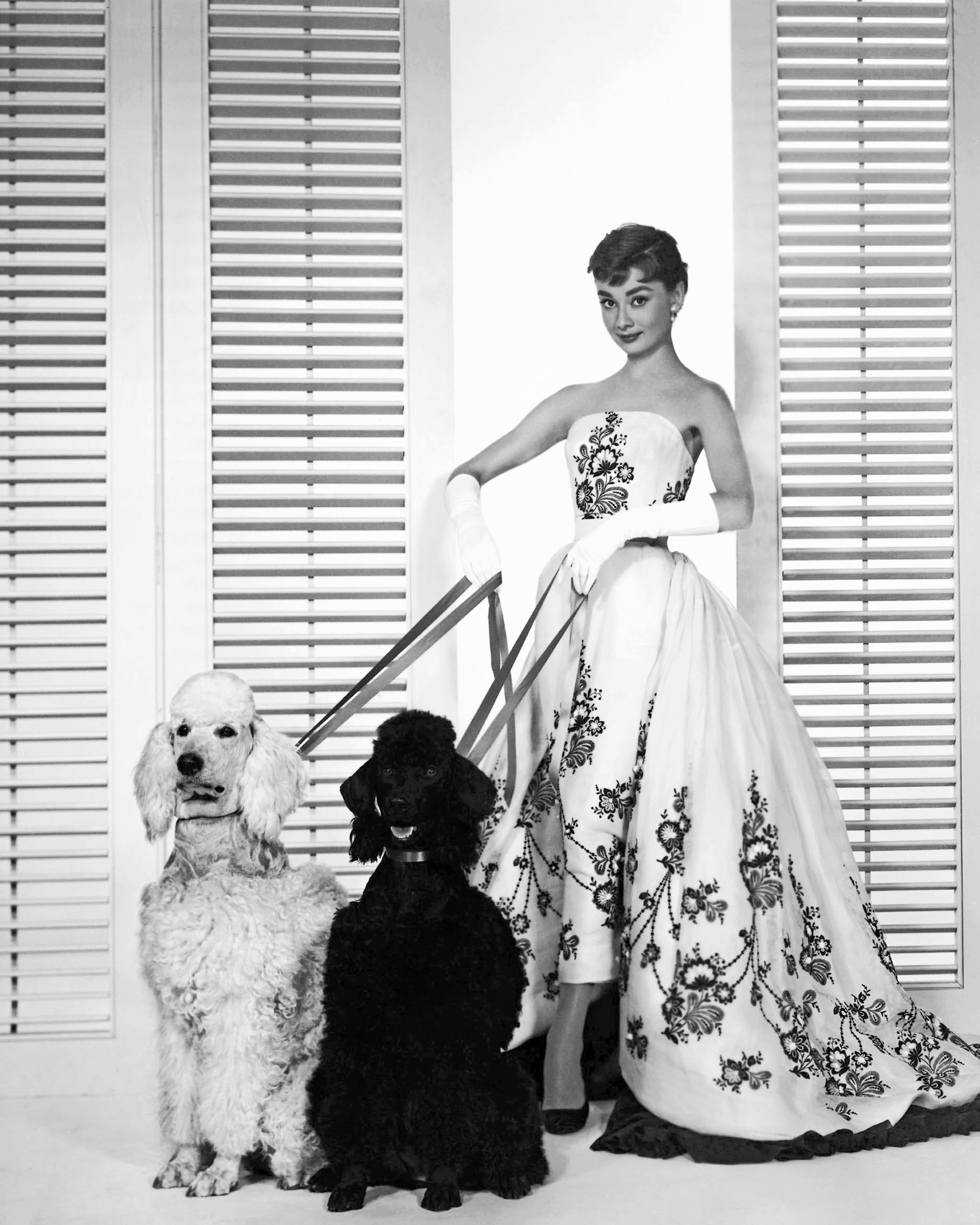 LOS ANGELES - 1954: Actress Audrey Hepburn poses for a publicity still for the Paramount Pictures film 'Sabrina' in 1954 in Los Angeles, California. (Photo by Donaldson Collection/Michael Ochs Archives/Getty Images)