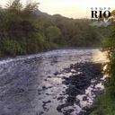 En este afluente hay una gran variedad de flora y fauna. Foto: PDD.