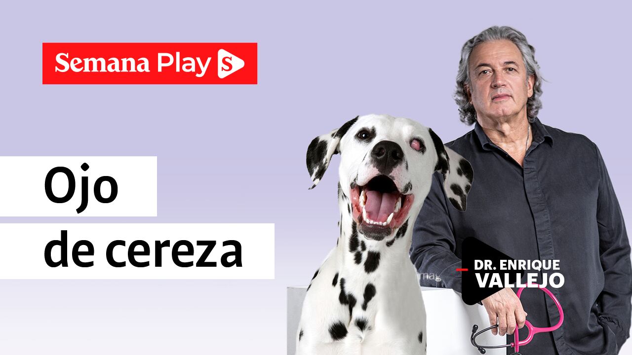 Ojo de cereza | Enrique Vallejo en Salud Animal