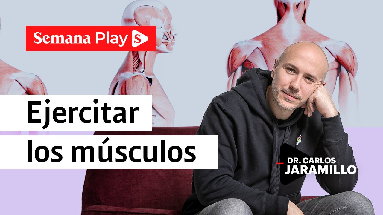 el doctor Carlos Jaramillo explica lo que pasa cuando se estimula la masa muscular.