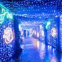 Estos son los lugares para ver los alumbrados navideños en Bogotá.