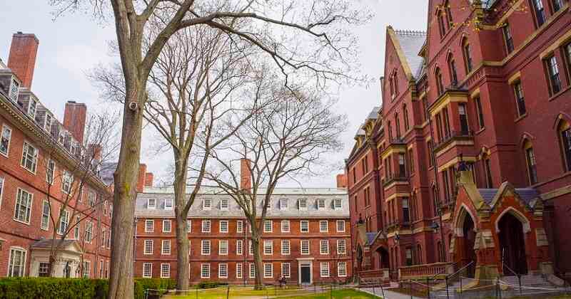 “El decano de Harvard no se dejó engañar por la fachada moral otorgada a Roth y HRW. Reconoció las contribuciones centrales de Roth para legitimar el antisemitismo”, dijo el director de NGO Monitor. Foto: 123rf