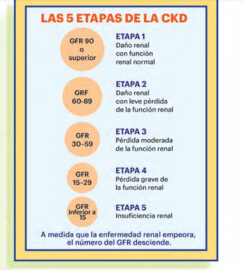 Etapas de una enfermedad renal.