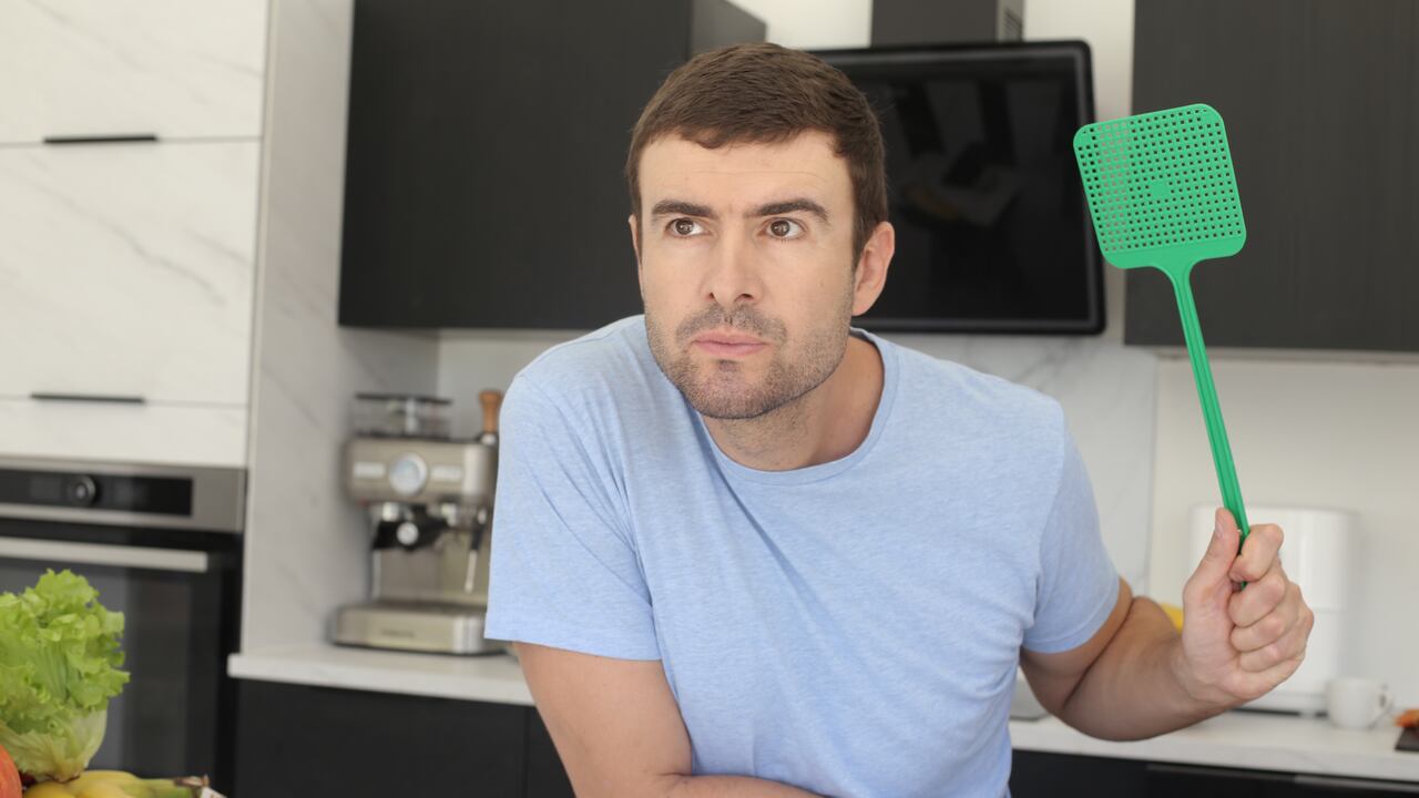 Los mosquitos suelen desarrollarse en espacios húmedos.